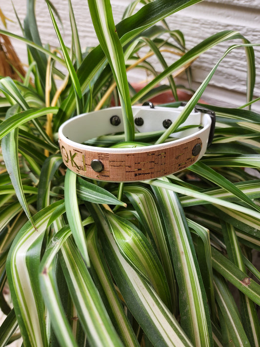 1 inch biothane collar with cork or printed faux leather accents
